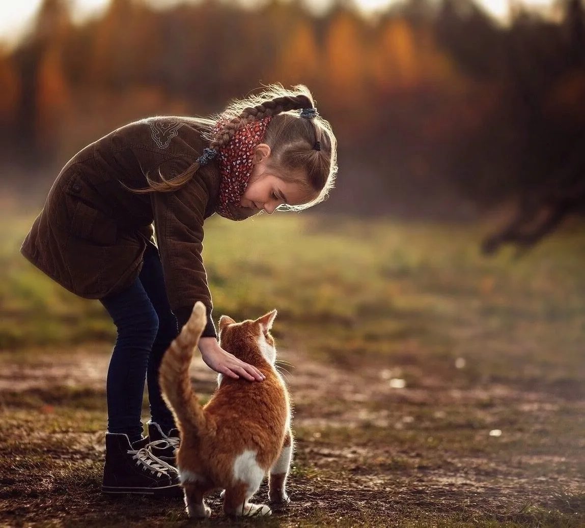 Explore Kindness Books: The Ultimate List of Children’s Books on Kindness